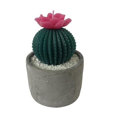 China Widely Used High Quality Cactus Relighting Shaped Candle Eternal Candle for sale