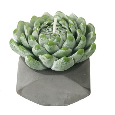 China Scented Succulents Artificial Home Private Label Decor Factory Luxury Scented Candles for sale