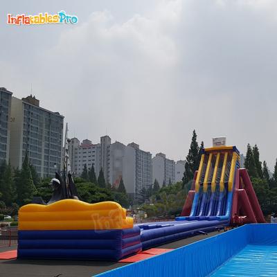 China Commercial Outdoor Entertainment Big Blow Up Water Slides For Adult Park for sale