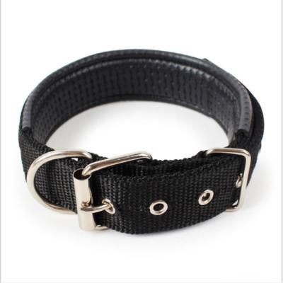 China New Type Popular Comfortable Pet Collars Solid Suitable Price Nylon Dog Collar for sale