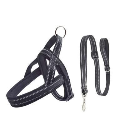 China Solid Durable Using Low Price Adjustable Dog Pet Harness And Leash Set Neck Dog Harness for sale