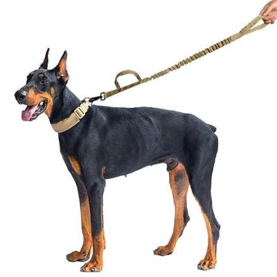 China Factory Custom Solid Strong Nylon Retractable Running Harness Luxury Dog Leash for sale