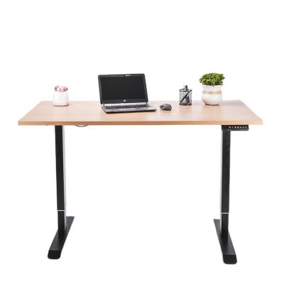 China Adjustable (Height) Computer Desks 213 Single Motor Height Adjustable Small Computer Table Sit Rack Up Standing Desk for sale