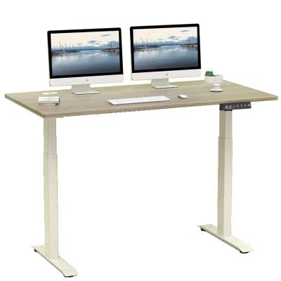 China (Height)Adjustable Luxury Office Furniture 224 Electric Motor Stand Double Lifting Frame Position Height Adjustable Computer Desk for sale