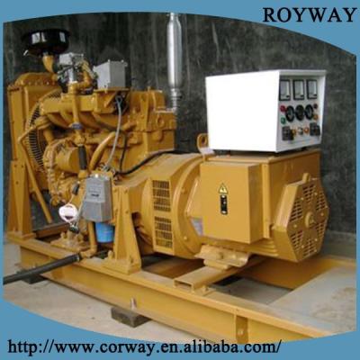 China Plant Biogas Generator For Sale In The Philippines for sale