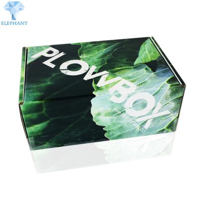 China Custom Printing Eco Die Friendly Cut Flat Pack Corrugated Folding Carton Shipping Boxes Melon for sale