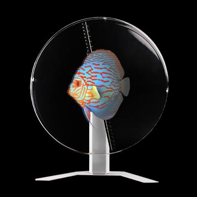 China Table Hologram Fan 25cm Indoor Small Size Desktop Holographic Advertising Display for sale