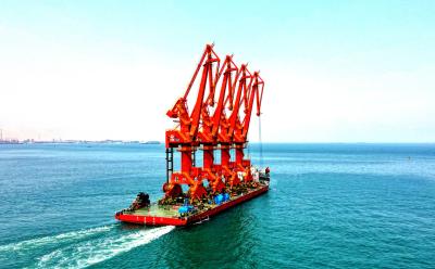 China PLC Controlled Customizable Remote Port Cranes / Shipping Container Cranes for sale