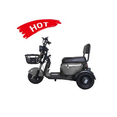 China Passenger factory direct sales supply Chinese high quality 500W 3 wheel powerful electric tricycle passenger electric tricycle for sale