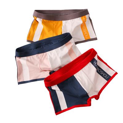 China 2022 New Design Kids Boys Underwear 100% Cotton Boys Boxer Briefs Fancy Cartoon Boys Teen Underwear for sale