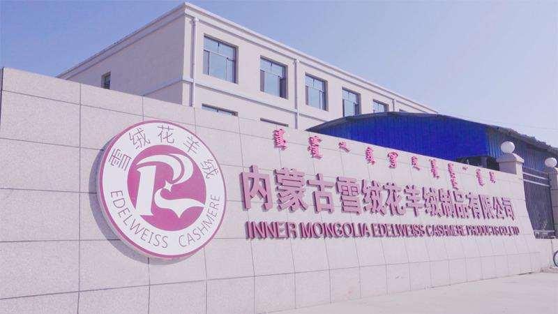 Verified China supplier - Inner Mongolia Edelweiss Cashmere Products Co., Ltd.