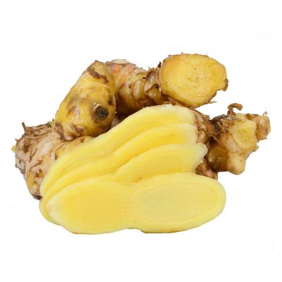 China Good Quality Fresh Fresh Chinese Ginger Produced for sale