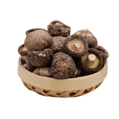 China Healthy Dried Mushroom Dried Shitake Mushroom High Quality Dried Organic Dried Mushroom for sale