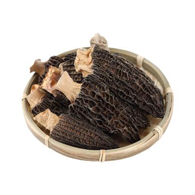 China Morchella Dry Esculenta Culture Dried Mushroom Morchella Magic Mushroom for sale