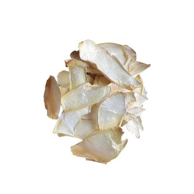 China Beautiful Appearance Dried Big Dried French Horn Mushroom Pleurotus Eryngi Eryngii Mushroom Chunks for sale