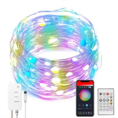 China Eco-friendly Voice Control Playing Music Rainbow Light WIFI String Light Christmas Decoration Copper Wire 5VUSB Smart Power Supply Cord Light for sale