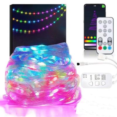 China Eco-friendly LED line smart remote control led waterproof leather line RGB four string lawn lamp outdoor Christmas decoration color magic lamp for sale