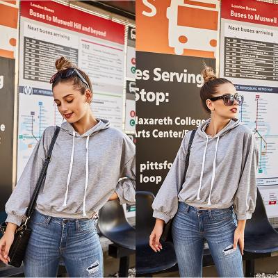 China Women's Streetwear Clothing Solid Anti-shrink 100% Cotton Hoodies Europe And America Cool Friend Hooded Style Gray Pullover Blank Hoodie for sale