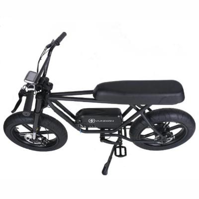 China Aluminum Alloy China Manufacturer Adult Men Women Electric Bicycle e Bike for sale