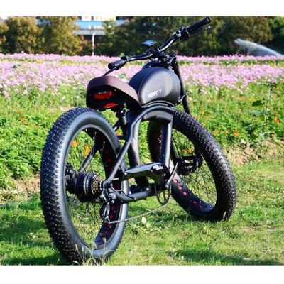 China Odm China Alloy Adult Electric Bicycle 48V 52V Aluminum Mountain Ebike 750 Watt 1000 Watt Electric Bike for sale