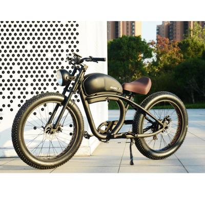 China Chinese Offer OEM Aluminum Alloy/Odm Electric Dirt Bikes Ebike Fat Mountain Electric Tire For Adults for sale