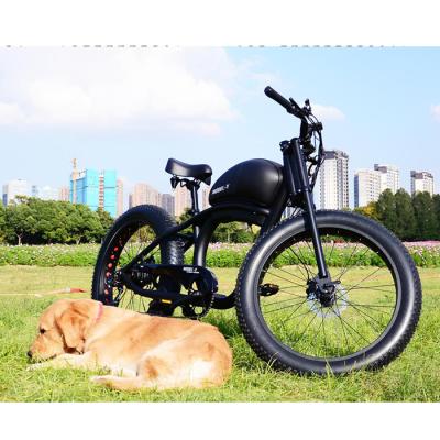 China Customized Aluminum Alloy 500W 750W 1000W Retro Fat E-Bike Electric Bike Aluminum Alloy Electric Bike With Hidden Battery for sale