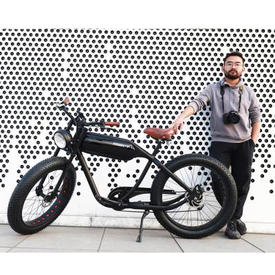 China Aluminum Alloy Factory Sales OEM/Odm Disc Brake Men's Brushless Electric Bike 500W 750W 1000W Ebike One Seat for sale