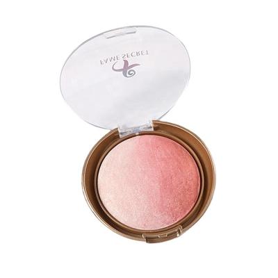 China AL057 Private Label Face Makeup Powder Supplier Waterproof Custom High Pigment Gradient Baked Blush for sale