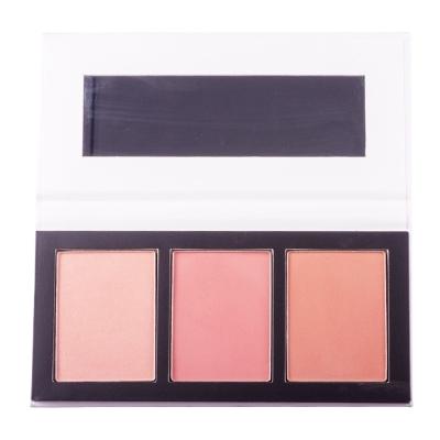 China New Design AL-196 Color Waterproof Face Makeup Long Lasting Raincoats Blush Private Label Blusher Palette for sale