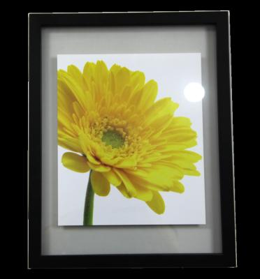 China 13x19inch single with 3 photo frame double side glass wall frame for sale