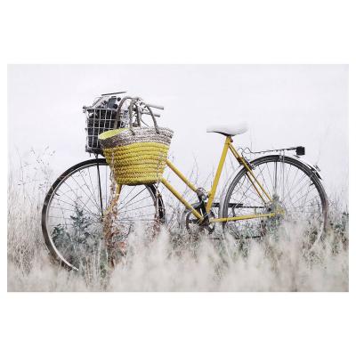 China Contemporary A Bicycle Art Printed Canvas Painting Wall Arts , Home Decorative Wall Canvas Art for sale