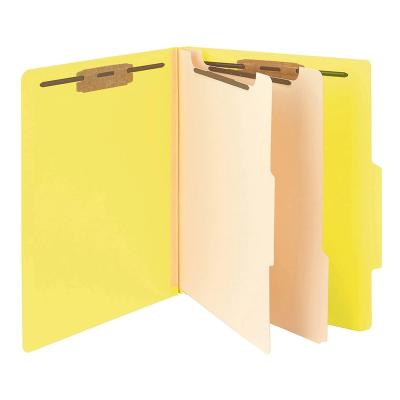 China Colorful Eco-Friendly Material Office Stationery Office School PVC PP Archival Box Hard Paper File Folder A4 Size for sale