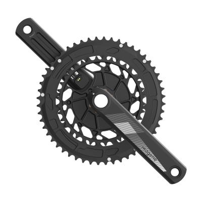 China Electricity Meter Crankset Electricity Meter Crank Crank Road Bike Electricity Meter Cycling 165mm P325CS for sale