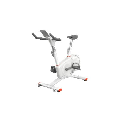 China Home Use Bike Cycle Magnetic Resistance Spinning Bike for sale