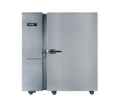 China Hotels Bread Meat Fish Seafood Stainless Steel Blower Freezer /Quick Freezing/Quick Freezer For Sale for sale