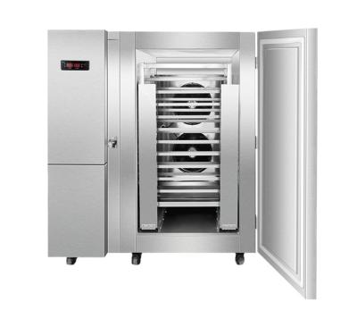 China ZSC500L -40 Degree Fish Meat Ice Cream Blast Freezer /Quick Freezing/Quick Freezer For Sale 300L for sale