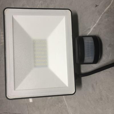 China Super Bright Security Lights 30W Floodlight 3000LM PIR Lights 6000K Outdoor Daylight White Motion Sensor LED Flood Light for sale