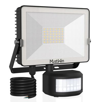 China Super Bright Security Lights 30W Floodlight 3000LM PIR Lights 6000K Outdoor Daylight White Motion Sensor LED Flood Light for sale