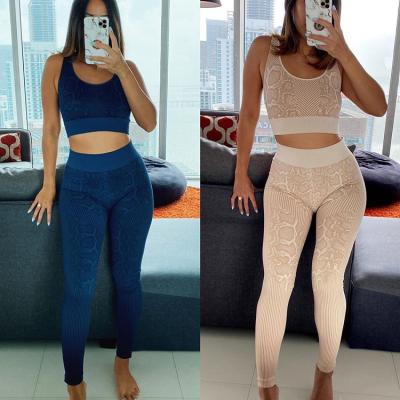 China 2020 Breathable Skin Print Seamless Nylon Snake Workout Yoga Set Women Clothing Tracksuit Sports Bra Gaiters Set for sale