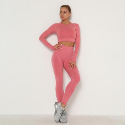 China Breathable Gym Seamless Yoga Set High Elasticity Long Sleeve Tight Elastic Yoga Set Women Sport Gym Fitness Sets for sale