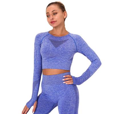 China New Breathable Hollow Back Beauty Sports Training Fitness Tops Women's Sports Running Yoga Tights Seamless Knitted Long Sleeves for sale