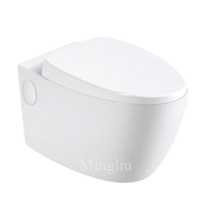 China European Style Wc Toilet Cistern Concealed Sanitary Ware Wall Hung Toilet Concealed Cistern Toilet for sale