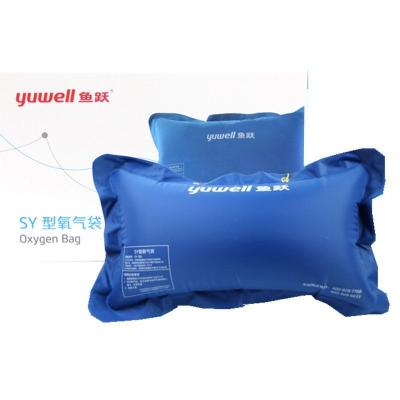 China 30L Pillow Oxygen Liter Medical Bag First Aid Liter Medical Oxygen Devices Oxygen Cylinder Kits With Bag for sale