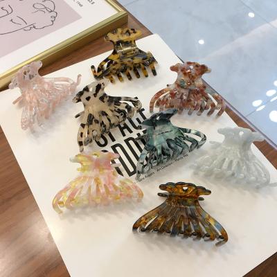 China Fashion New Acetate Korean Hair Claw Turtle Shell Hair Claw Womens Hair Accessories for sale