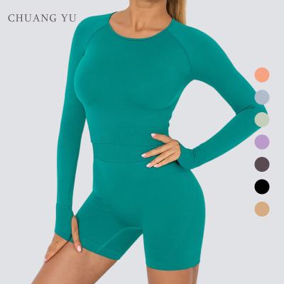 China New CHAUNGYU Breathable Skinny Breathable Quick-Drying 2 Piece Set Women Workout Active Wear Seamless Yoga Set for sale