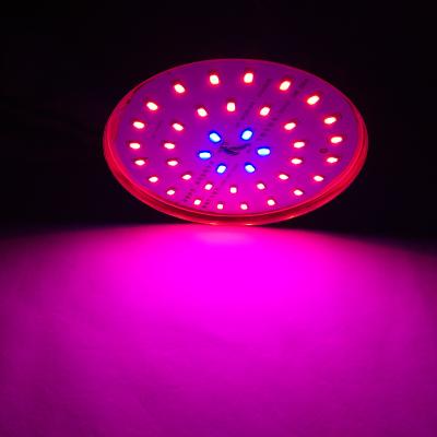 China Modern Full Spectrum Growing Hydroponics For Indoor Plants Lamp Bar Cbd Waterproof Grow Light Bulb UFO Quantum 2022 Induction Led Grow Light for sale