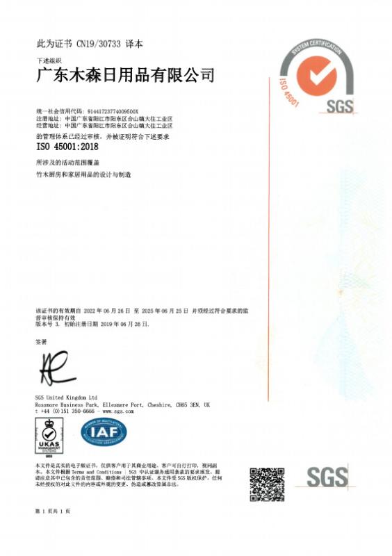 ISO 45001 - Guangdong Woodsun Housewares Co., Ltd.