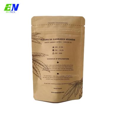 China Printing Pouch Packaging Stand Paper Packaging Supplier Eco Friendly Compostable Biodegradable Custom Food Bags for sale