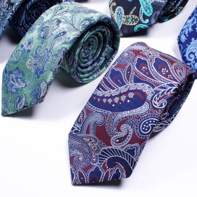 China Custom Made Polyester Hot Sales Polyester Fashion Party Meeting And Wedding Paisley Ties For Men for sale