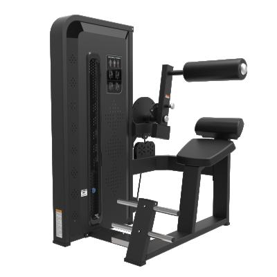 China Eco - Friendly Commercial Gym Equipment Back / Abdominal Training Dual Function Machine For Gym Exercise for sale